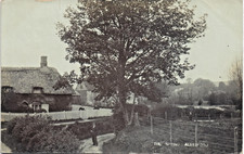 Alresford. The Spring.
