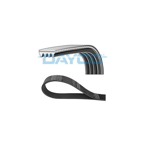 Accessory belt for peugeot - accessory,