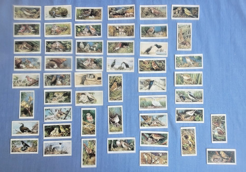 Player cigarette cards - x, player's