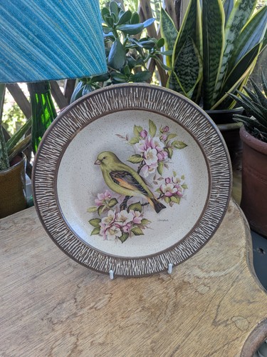 Purbeck pottery greenfinch - purbeck,