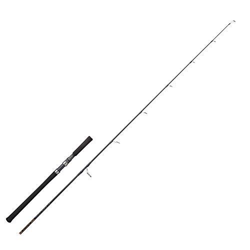 Tenryu spinning rod - tenryu,