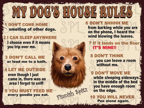 Dog house rules finnish - my, dog's