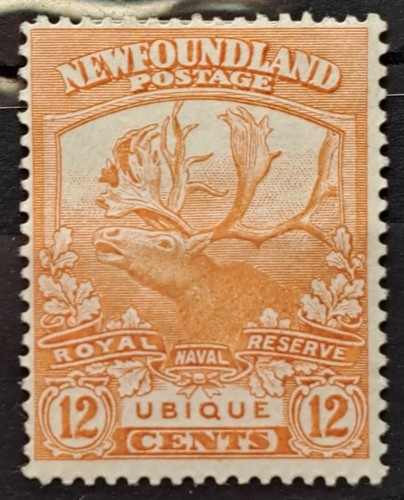 Newfoundland 1919 contingent - newfoundland,