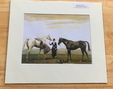 SIR ALFRED MUNNINGS; CHANGING