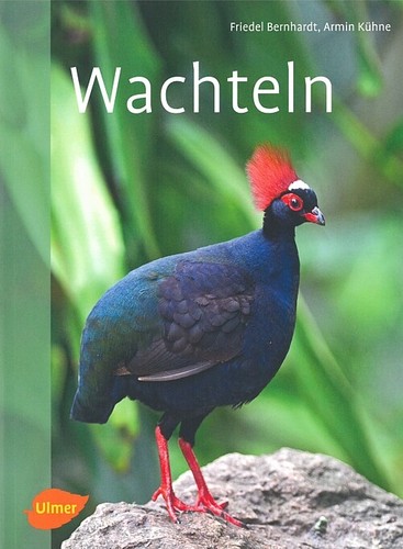 Bernhardt wachteln neu - wachteln,