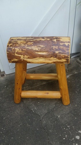 Authentic western horse - (1),