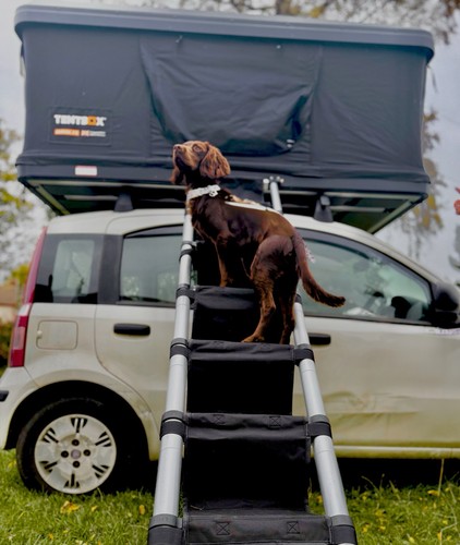 Universal dog ladder steps - dog, for