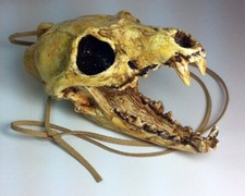 Aztec death whistle - aztec,