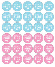30x Gender Reveal Baby Shower Cupcake Toppers Edible Wafer Paper Fairy Cakes