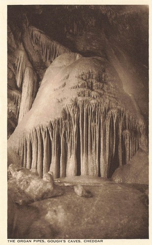 The organ pipes - pipes, gough's