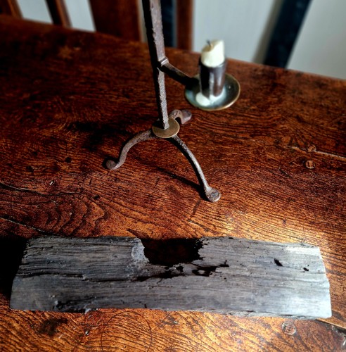 Bog oak from cambridgeshire - bog,