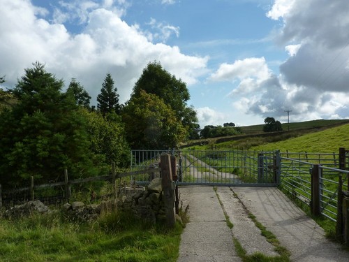 Photo electric gate - electric,
