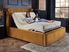 The Winged Design Electric