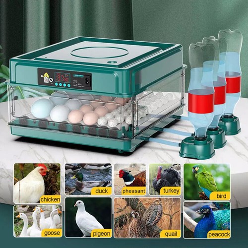 Egg automatic turning - 48,