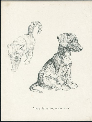 Dachshund puppy and cat - and,