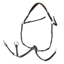 Shires Velociti Rapida Elastic