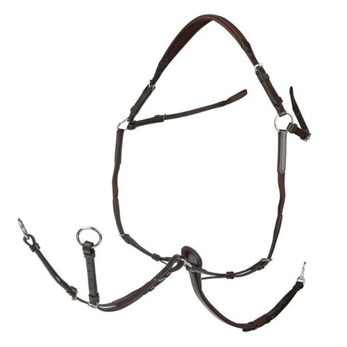 Shires velociti rapida elastic - rapida,