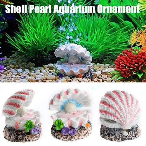 Aquarium shell pearl air - shell,