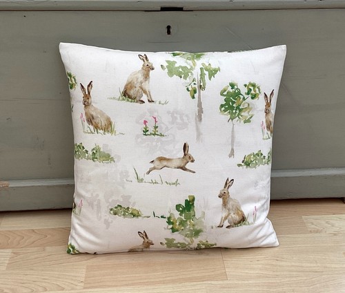 Hampstead hare rabbit - hare,