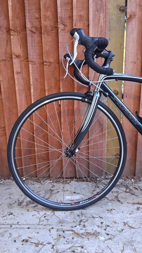 Woman specialized dolce - specialized, sport