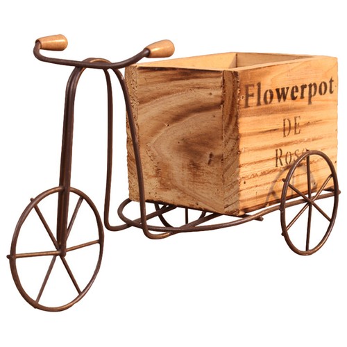 Iron tricycle plant - iron,