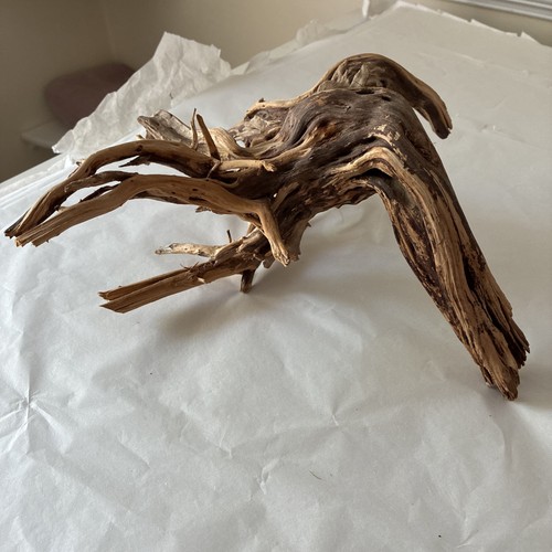 Drift wood - drift,