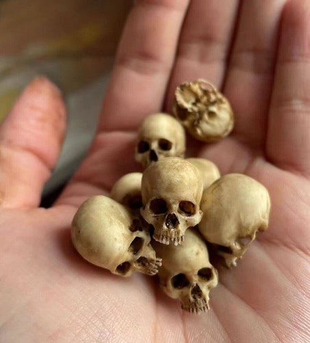20pcs mini skull resin - 20pcs,