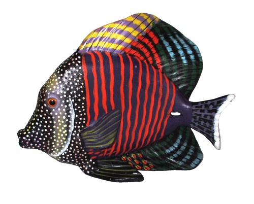 Sail fin tang fish free