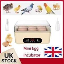 Mini egg incubator - egg, automatic