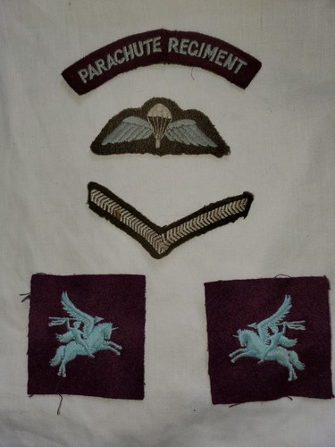 Parachute regiment insignia - parachute,