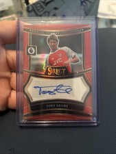 Panini Select Premier League 2024/25 Auto Tony Adams Arsenal Colour Match