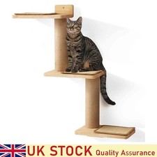 Cat Climbing Shelf Wall
