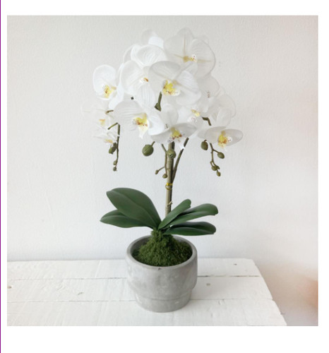 Three stem potted faux white - potted,