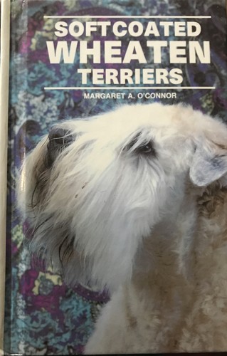 Soft coated wheaten - soft,