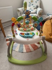 Fisher Price Rainforest