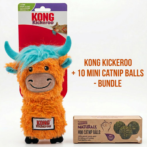 Kong kickeroo orange - kickeroo, orange/blue