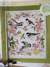 Flying Visit! Garden Bird