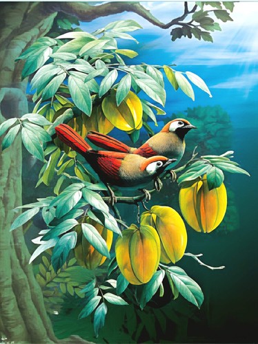 Tropical birds starfruit - birds, &