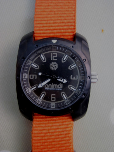 Animal ladies watch sideshore - watch,