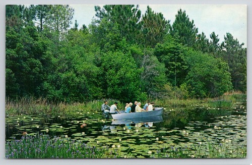 Waycross georgia okefenokee - georgia,