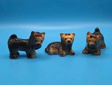 Yorkshire Terrier Miniature