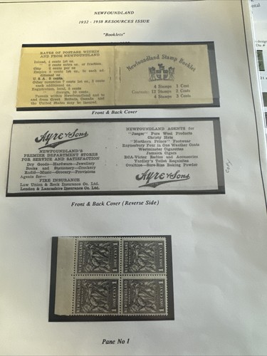Newfoundland last booklet - newfoundland,