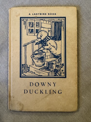 Rare early ladybird downy - ladybird,