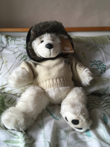 Land rover ski bear - rover, teddy