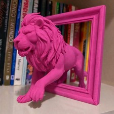Lion In Frame Illusuon