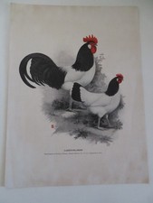 1924 "POULTRY TRIBUNE"