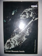 British mesozoic fossils - british,