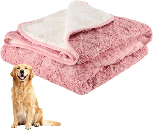 Waterproof dog blanket - dog, for