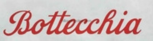 Bottecchia downtube decals - bottecchia,