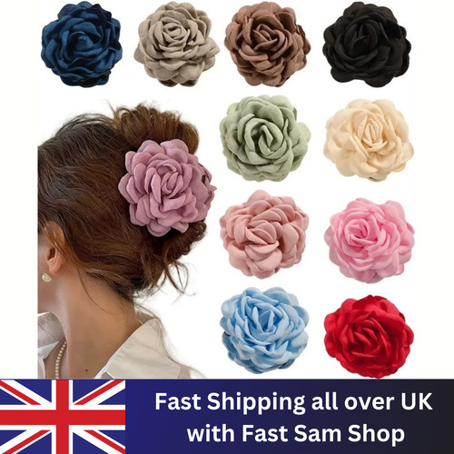 Colour rose flower - colour,